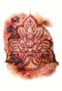 Silent Hill F Shimizu Hinako A4 Back Tattoo Sticker Family Crest Tattoo Sticker