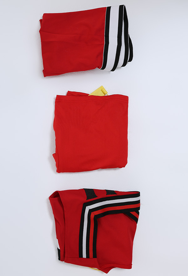 Women RCH Pattern Party Uniform Red Long Sleeved High Collar Top and Skirt Cheerleader Halloween Performance Costume