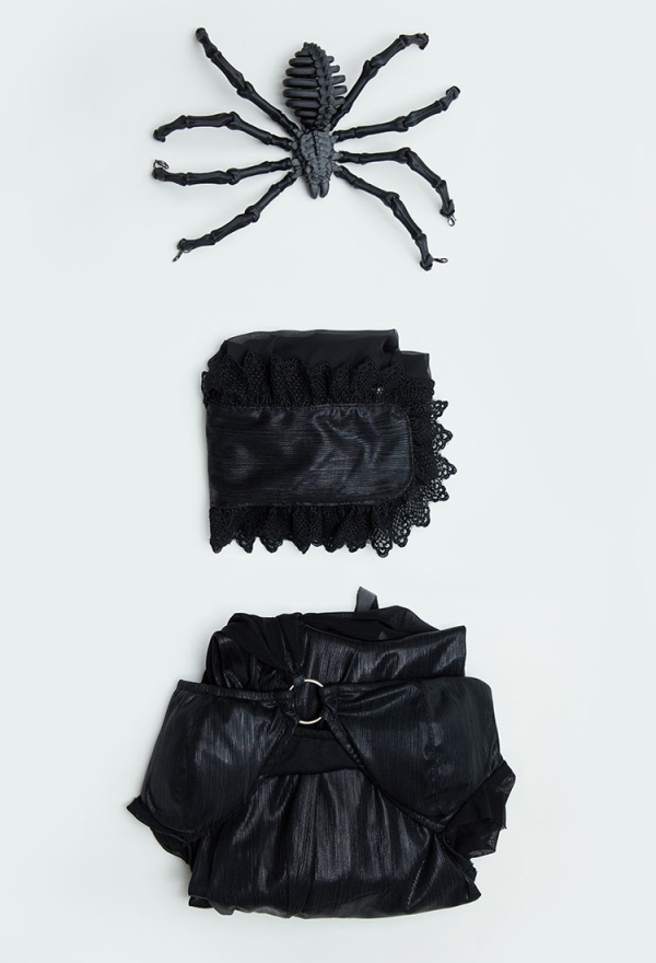 Beauty of Shadow Gothic Spider Sexy Costume Long Sleeves High Split Dress with Veil and Detachable Spider Accessory