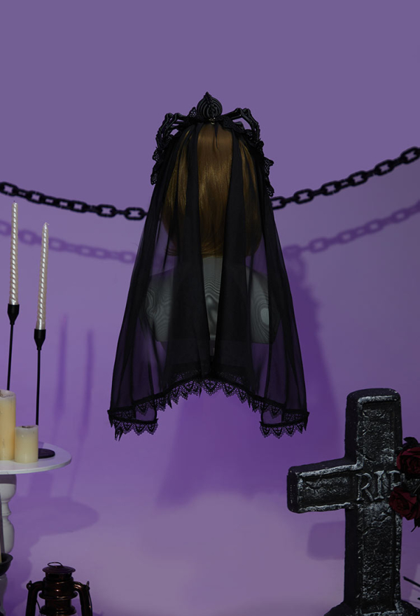 Beauty of Shadow Gothic Spider Sexy Costume Long Sleeves High Split Dress with Veil and Detachable Spider Accessory