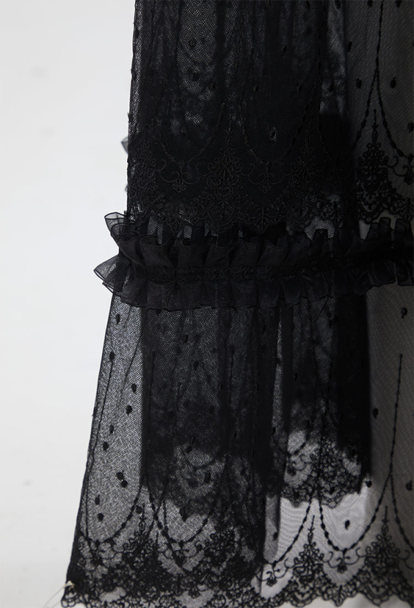 Dreamy Beauty Gothic Vampire Style Dress Black Lace Semi-Transparent Long Dress with Choker