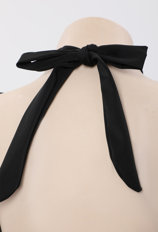 Dark Bat Gothic Swimsuit Black Bat Wing Top and Sheer Bottom